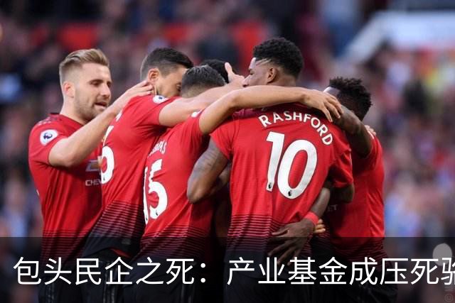 包头民企之死：产业基金成压死骆驼的稻草