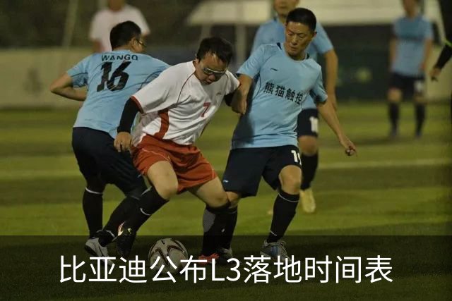 比亚迪公布L3落地时间表