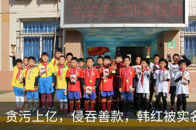 贪污上亿，侵吞善款，韩红被实名举报，6年了有人给她道歉吗？